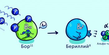 Актуальные для термоядерной энергетики и материаловедения реакции изучили новосибирские физики