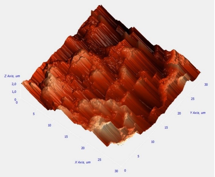 Изображение рельефа поверхности после электрохимического травления полученное методом атомно силовой микроскопииjpg