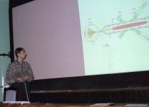 �.�.��������� (4 �����)